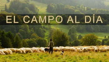 El campo al Día