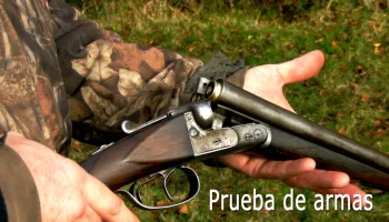 Prueba de armas
