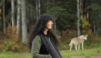 Aliens In Alaska