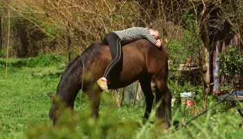 Ecoaldeas: Vivir fuera del sistema
