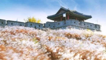Unesco World Heritage Special
