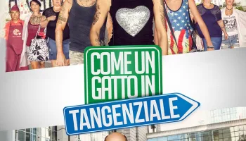 Come un gatto in tangenziale