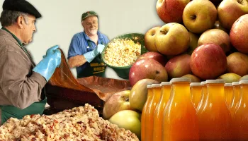 Más de 3.500 litros de zumo de manzana natural (y artesanal) para el consumo de varias familias