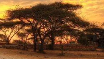 Eco Africa
