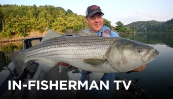 In Fisherman TV