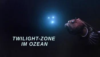 Twilight-Zone im Ozean
