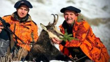 Histoires de chamois