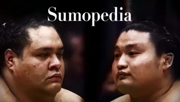 Sumopedia
