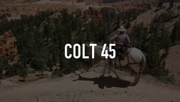 Colt 45