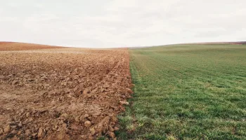 Ruralitas