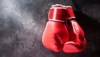 Format Boxe