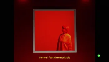 Irremediable