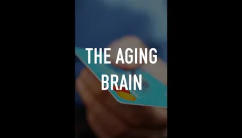 The Aging Brain
