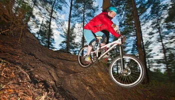 World Downhill Skateboarding Championship