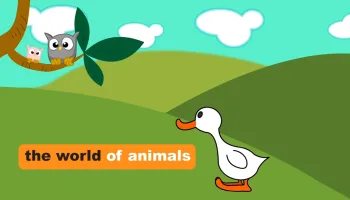 The World of Animals
