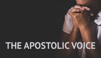 The Apostolic Voice