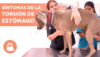 Cuidados para una buena salud
