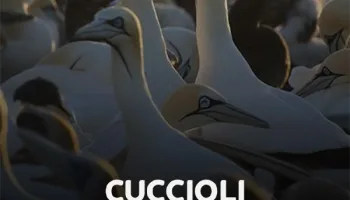 Cuccioli in famiglia