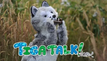 Tiga Talk