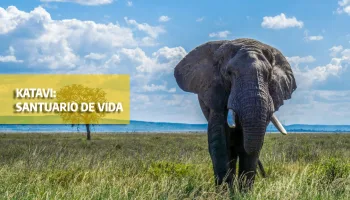 Katavi: Santuario de vida