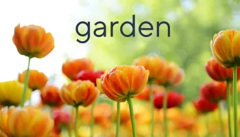 Love Your Home & Garden
