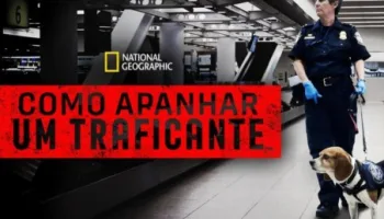 Como Apanhar um Traficante