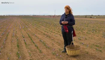 Episodio 51