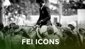 FEI Icons