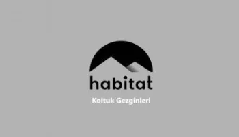 Koltuk Gezginleri