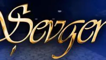 Gece Gezgini (Şevger)