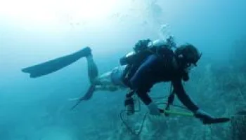 A la recherche des sous-marins perdus