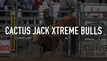 Cactus Jack Xtreme Bulls