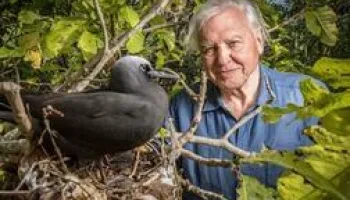 Le tour du monde de David Attenborough