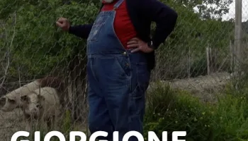 Giorgione dixit