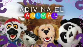 Adivina el animal