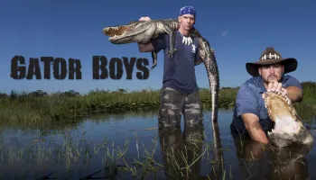 Gator Boys
