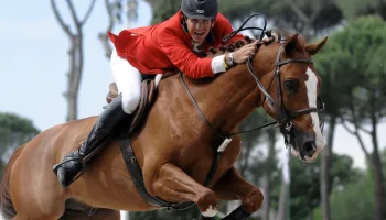 Equitazione