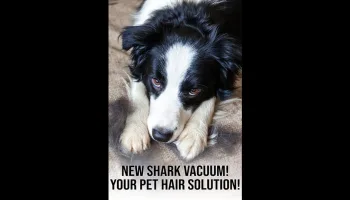 NEW Shark Vacuum! Your Pet Hair Solution!