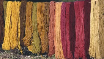 Tintes naturales con plantas. Tinción de tejidos de manera 100% tradicional