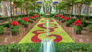 Jardins d'ici et d'ailleurs