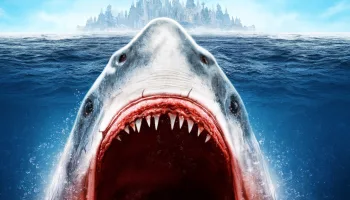 Avalanche Sharks