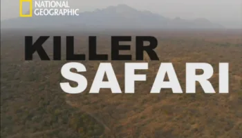 Killer Safari: Season 1