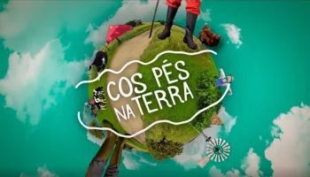 Cos pés na terra