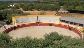 Coso Taurino