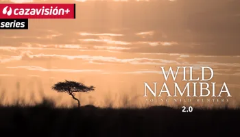 Wild Namibia 2.0