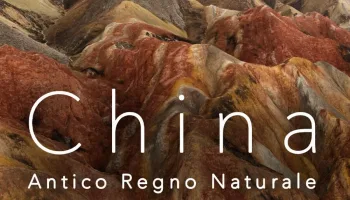 Cina - Antico regno animale