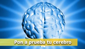 Pon a prueba tu cerebro