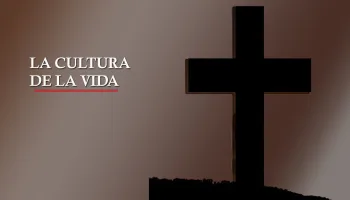 La cultura de la vida
