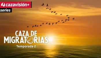 Caza de migratorias
