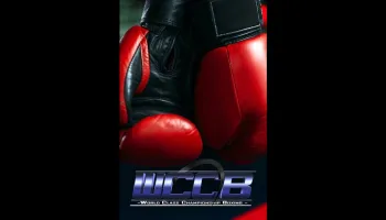 Fight Sports: Boxing